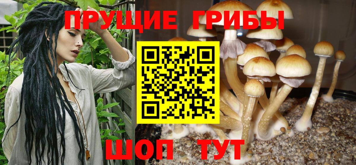Псилоцибиновые грибы MAGIC MUSHROOMS  Псилоцибиновые грибы мухоморы  Вход с VPN  Новочеркасск 