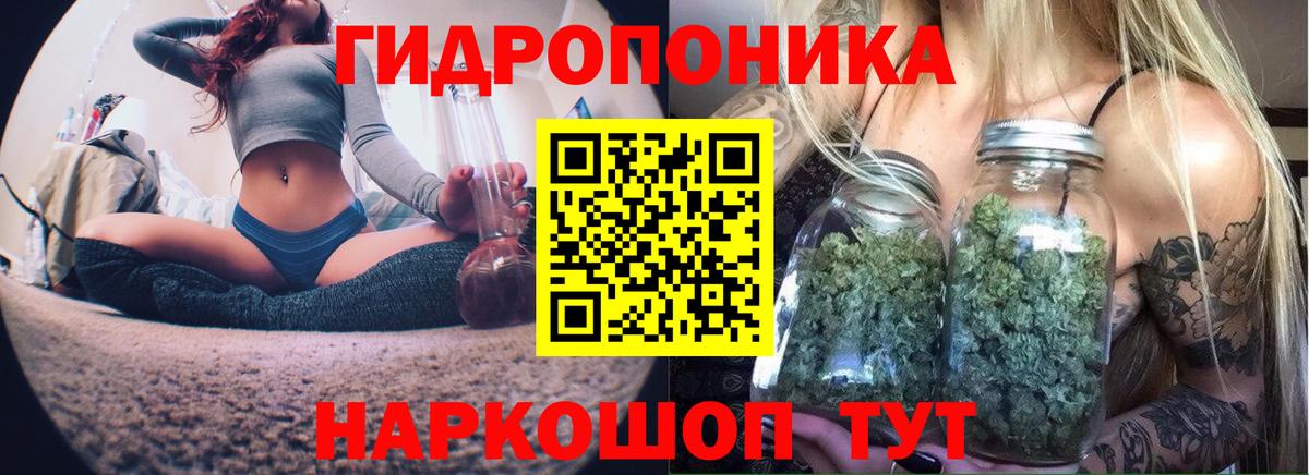 Бошки марихуана OG Kush Новочеркасск